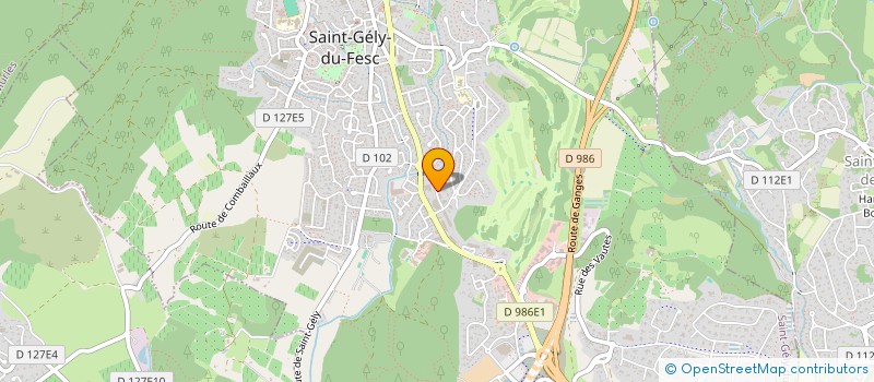 localisation de l'entreprise Z&S FILS  SAINT-GELY-DU-FESC