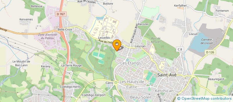 localisation de l'entreprise ZA DES QUATRE VENTS  SAINT-AVE