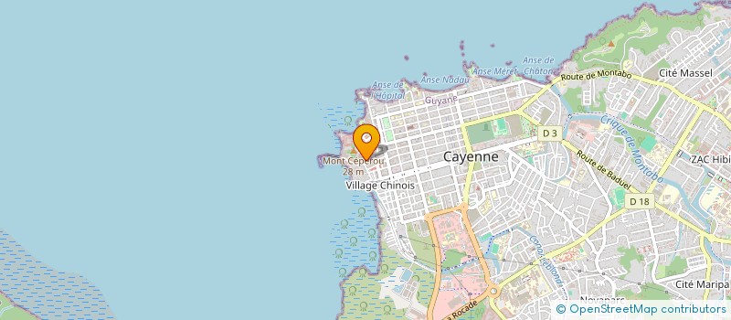 localisation de l'entreprise ZEAN  CAYENNE