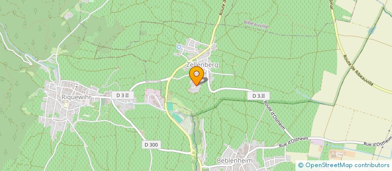 localisation de l'entreprise ZELLICOM  ZELLENBERG