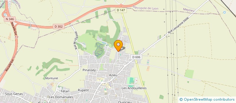 localisation de l'entreprise ZEMBROCAL974  GENAS