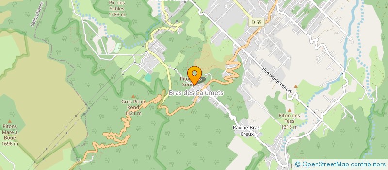 localisation de l'entreprise ZENITH à LA PLAINE-DES-PALMISTES