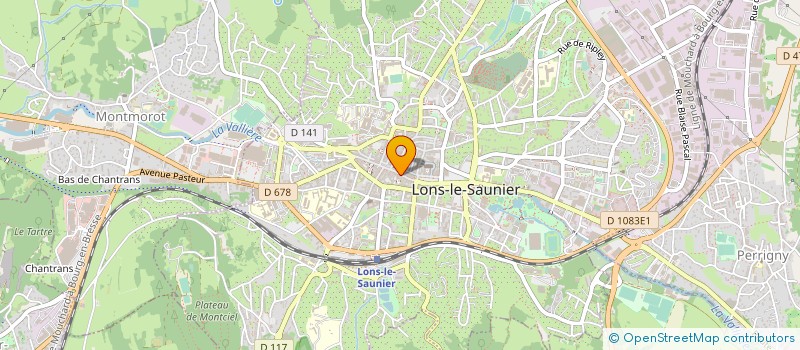 localisation de l'entreprise ZIG ET PUCE  LONS-LE-SAUNIER