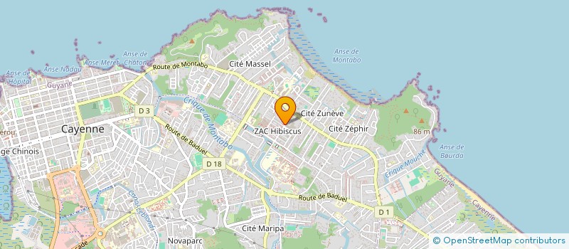 localisation de l'entreprise ZILA MOYO  CAYENNE