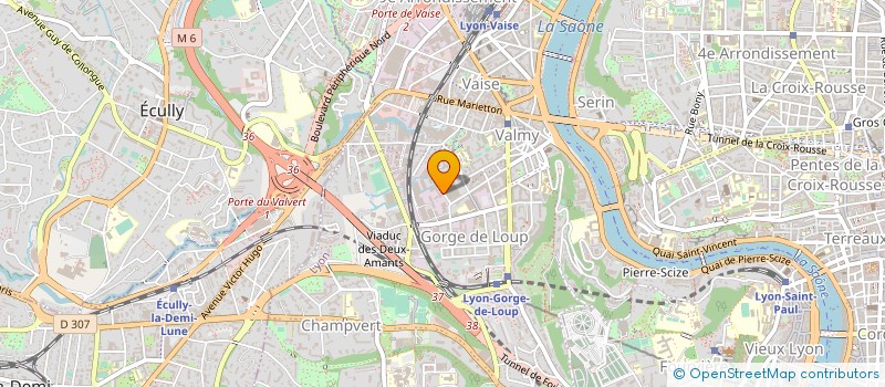 localisation de l'entreprise ZIMMER ELEKTROMEDIZIN FRANCE à LYON