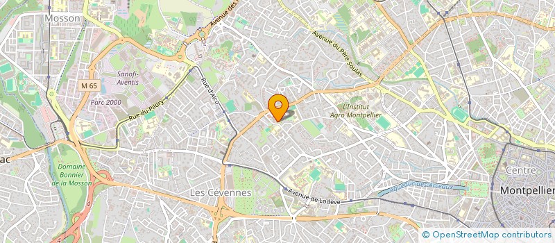 localisation de l'entreprise ZITOUNI  MONTPELLIER