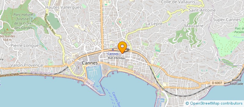 localisation de l'entreprise ZNS  CANNES