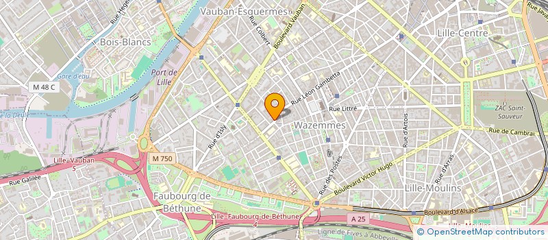 localisation de l'entreprise ZONE INTERNATIONALE TRAVAUX ARTISTIQUES à LILLE