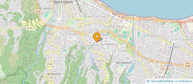 localisation de l'entreprise ZOYAA PIZZA  SAINT-DENIS