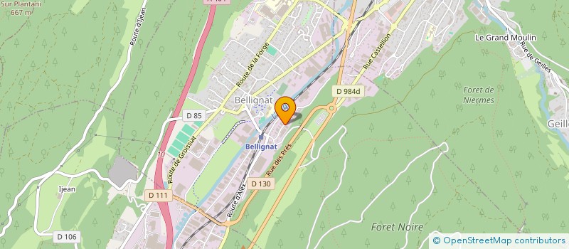 localisation de l'entreprise ZRT HOLDING à BELLIGNAT